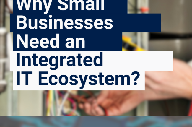 Why Small Businesses Need an Integrated IT Ecosystem